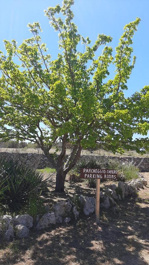Tenuta L'Alba Di Monte Matino أوترانتو المظهر الخارجي الصورة