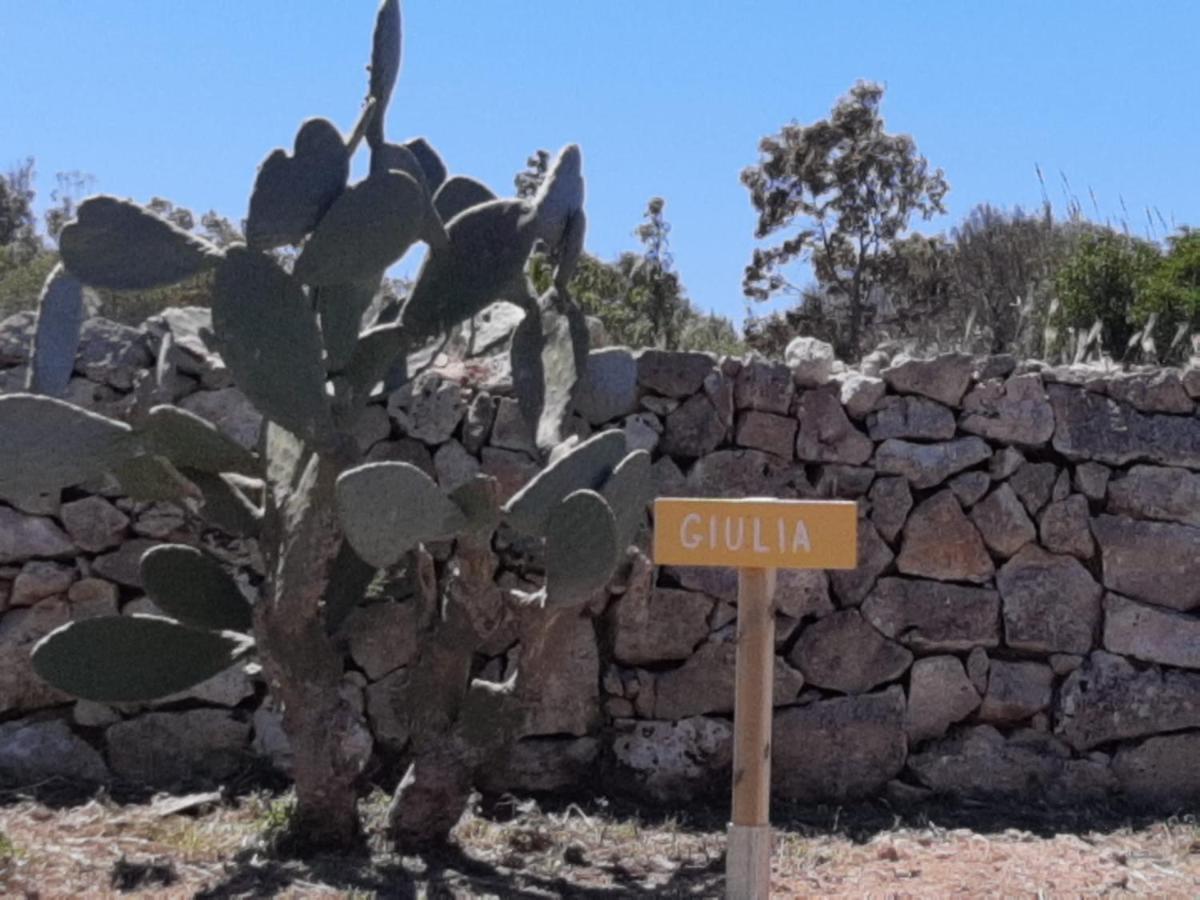 Tenuta L'Alba Di Monte Matino أوترانتو المظهر الخارجي الصورة